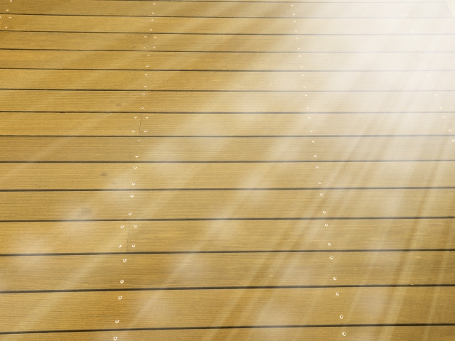 フローリングに新たな命を